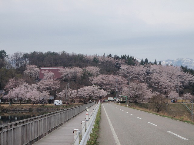 Sakuragaike