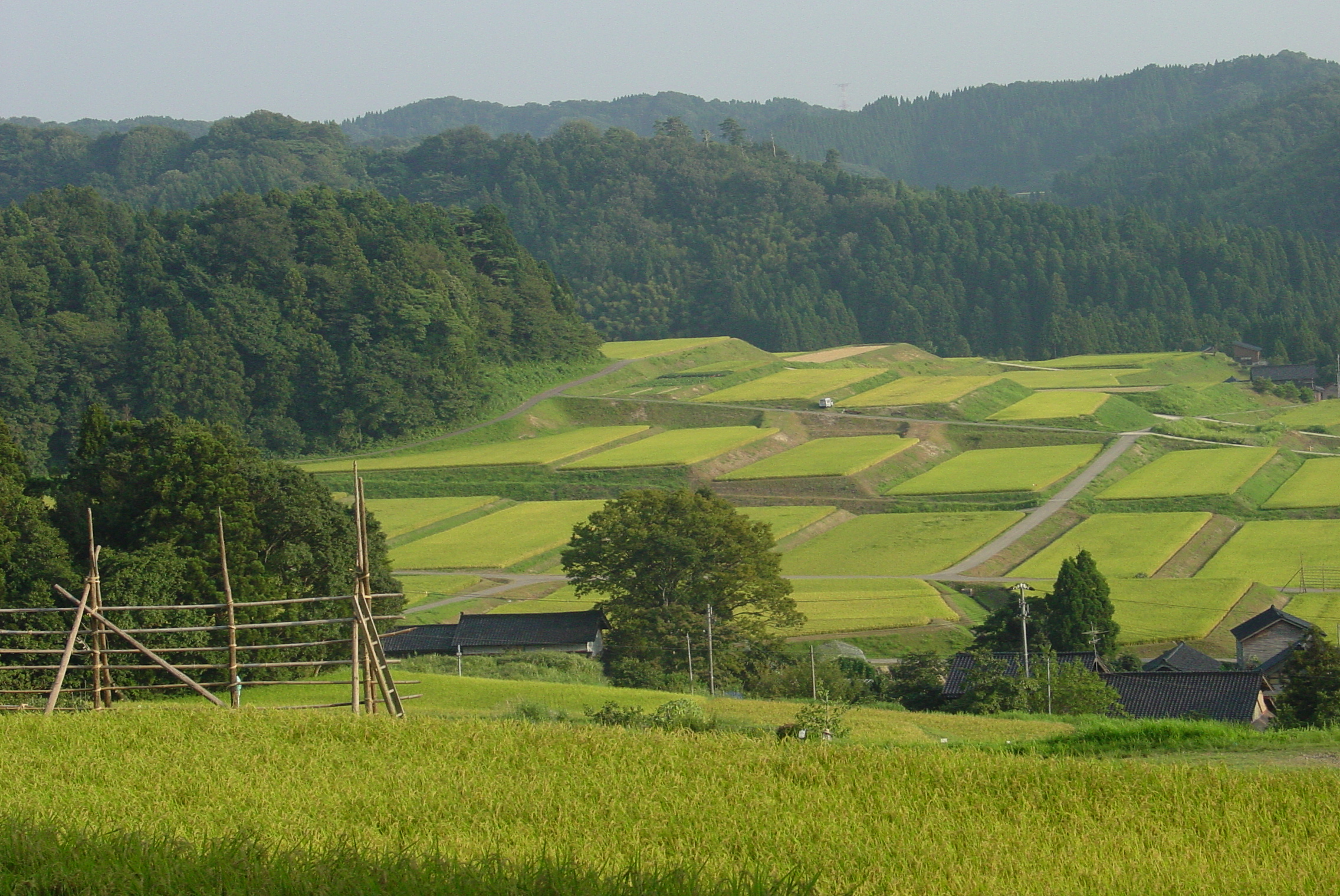 This is true autumn in Japan. Recommended spots for rural landscapes