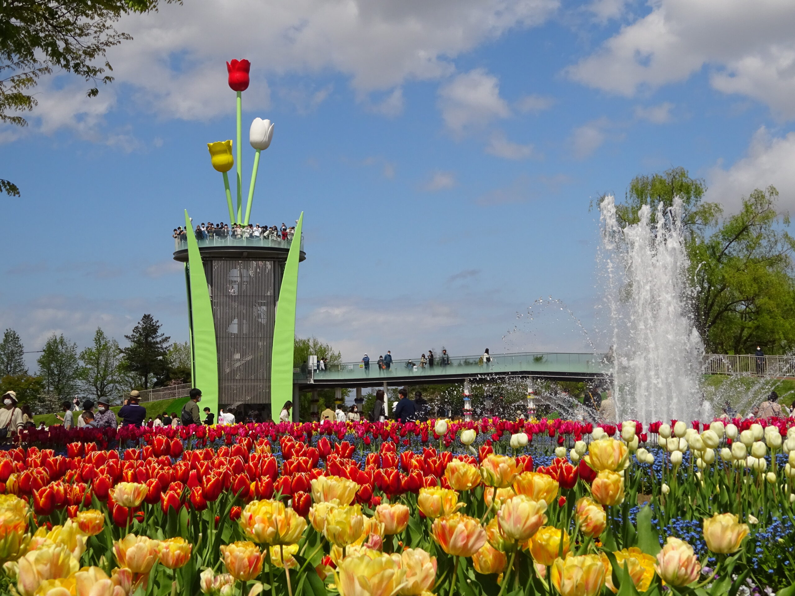 となみチューリップフェア(TONAMI TULIP FAIR)