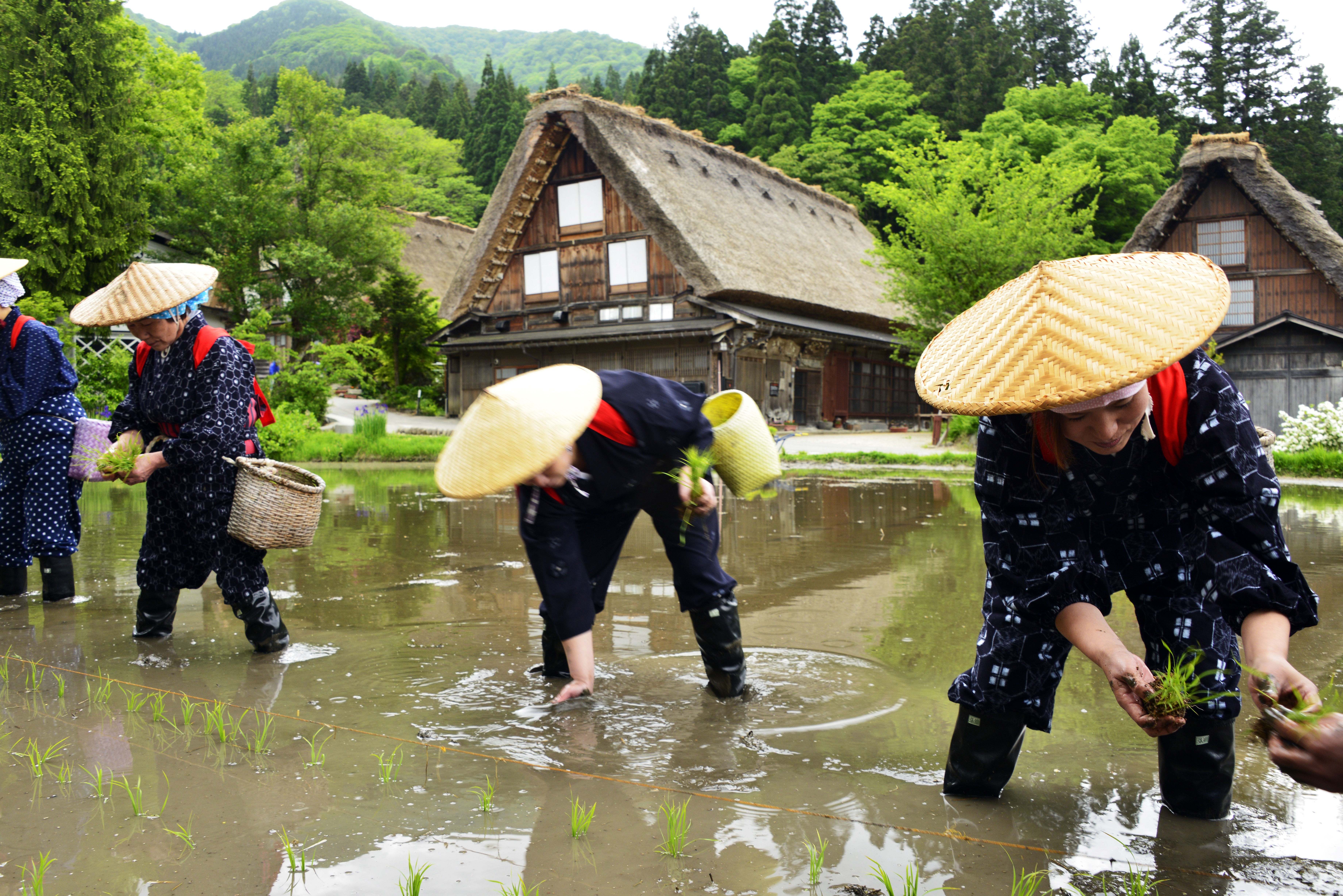 Rice-Planting Festival